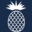 24deepwooddrive.com favicon
